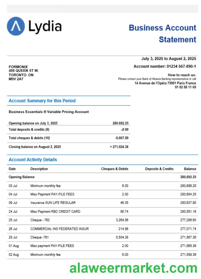 Lydia Noir bank business firm account statement Word snd PDF format